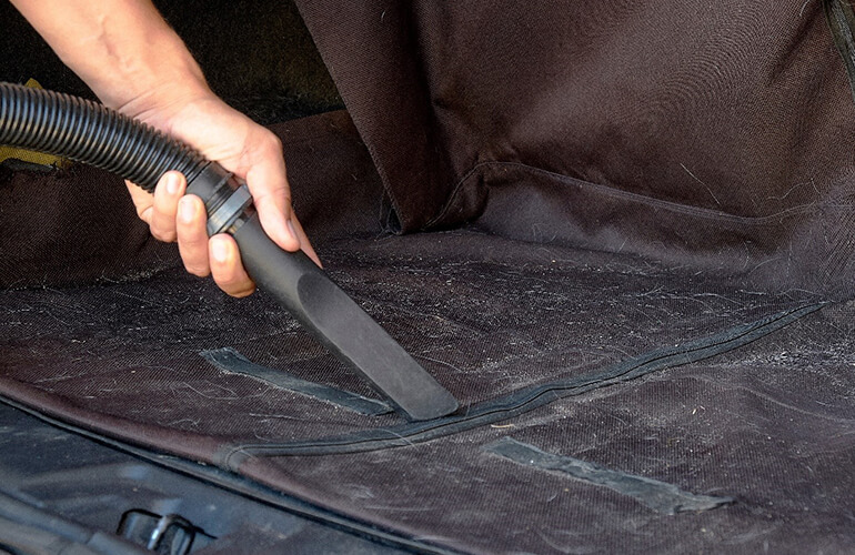5 tips to remove pet hair from your car